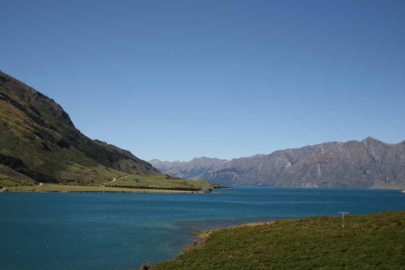Nieuw-Zeeland 2011 - 1593